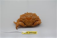 藏品(銅鑄熟若蟹)的圖片